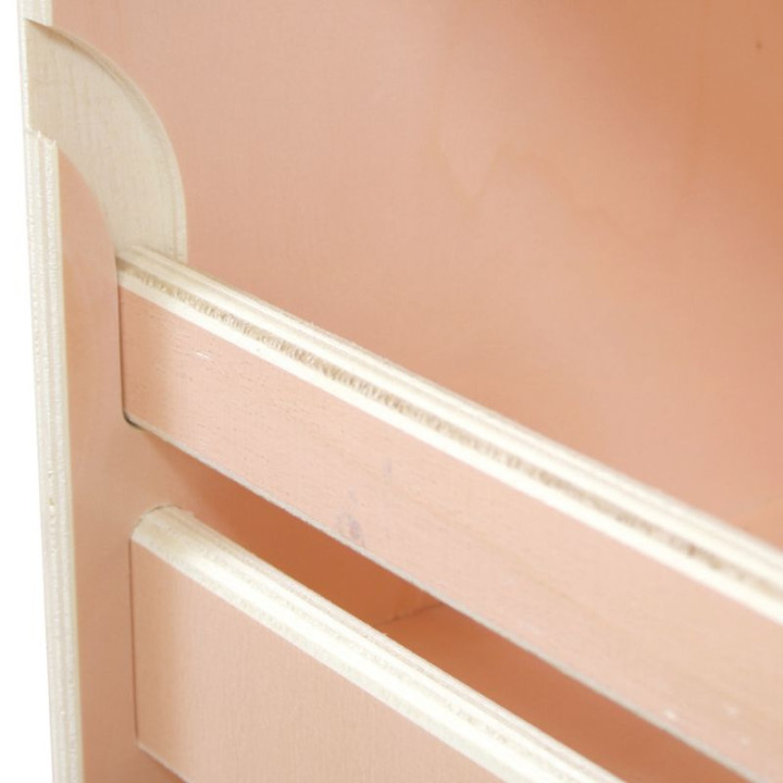 Detail Klarlack-Finish und Blendenbeschriftung am Holz-Nutzfahrzeugmöbel