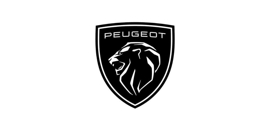 Peugeot-Nutzfahrzeug-Einrichtungskit - Excelvan